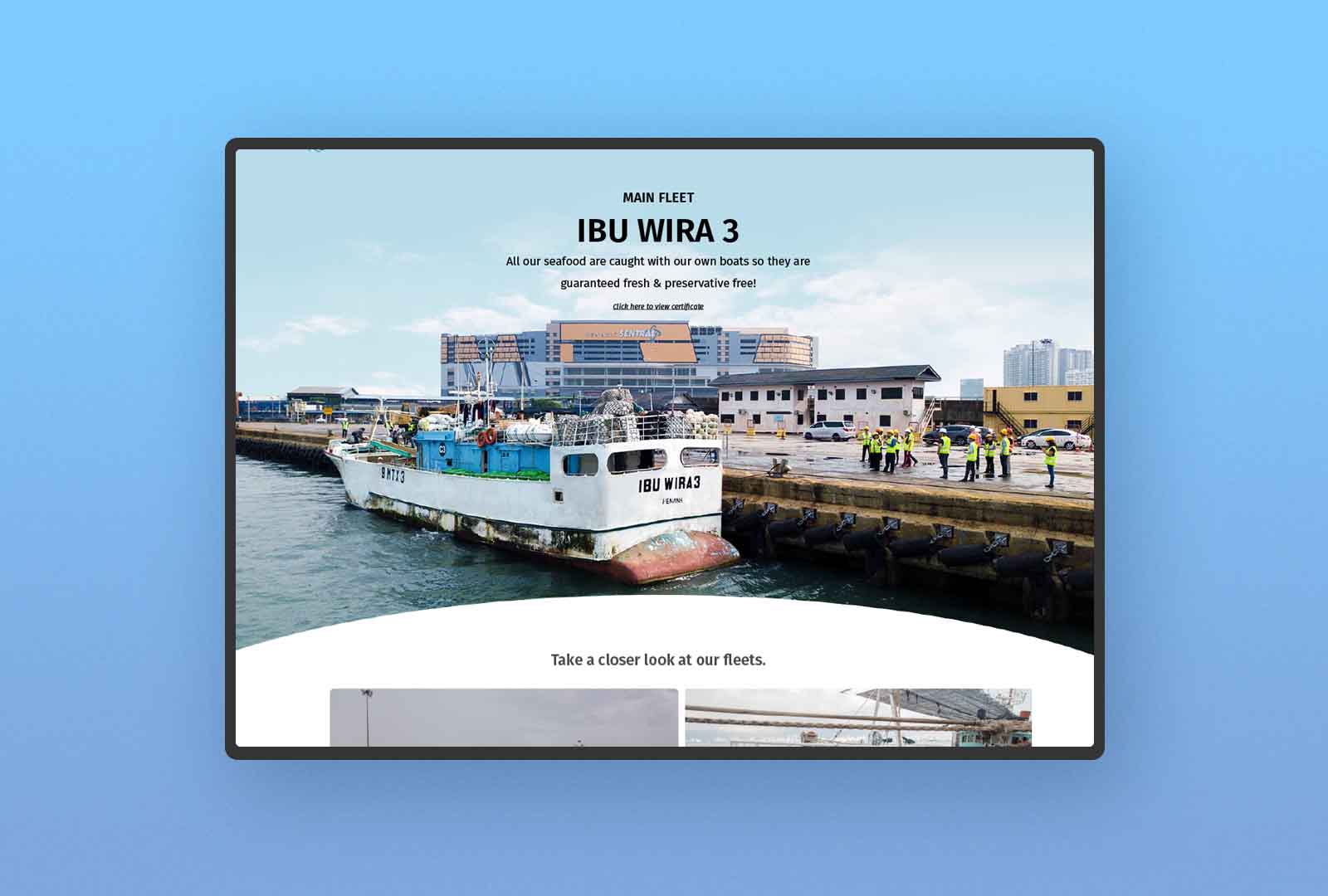 Tuna Fish Supplier Website Design Cover Image